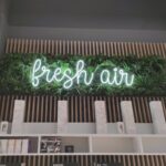 viber_image_2023-12-06_01-09-25-067